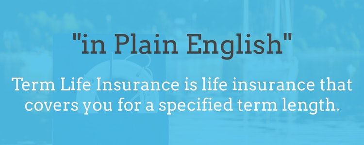 Term Life Insurance - Insurance Shark